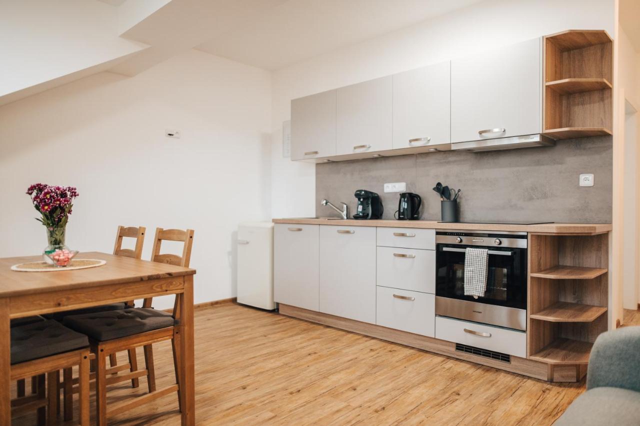Apartment 1935, Olomouc Pavlovicky Dış mekan fotoğraf